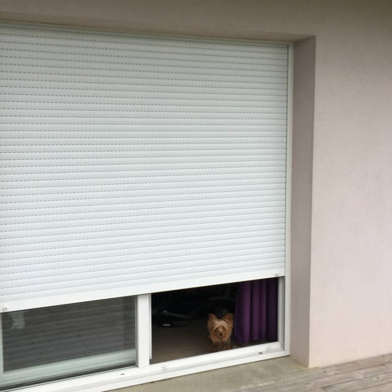 IMG_0092 1 800X800 | Fermetures Arzt Volets Tradi PUR Cernay 14