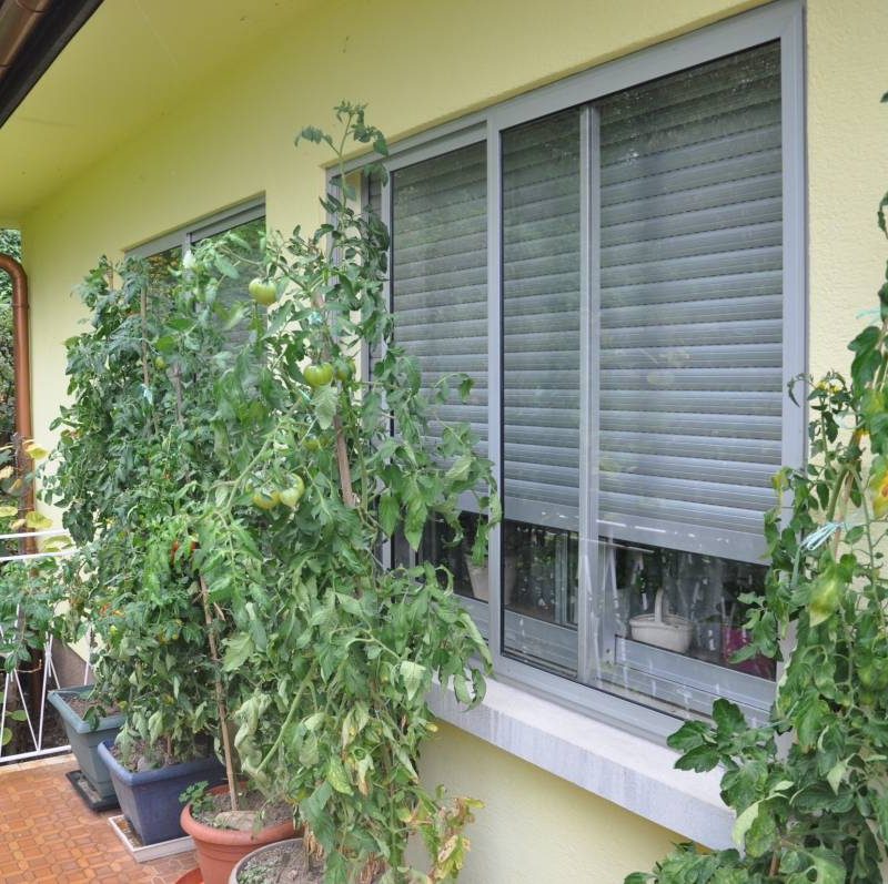 IMG_0526 800X797 | Fermetures Arzt Volets Tradi PUR Kingersheim 15